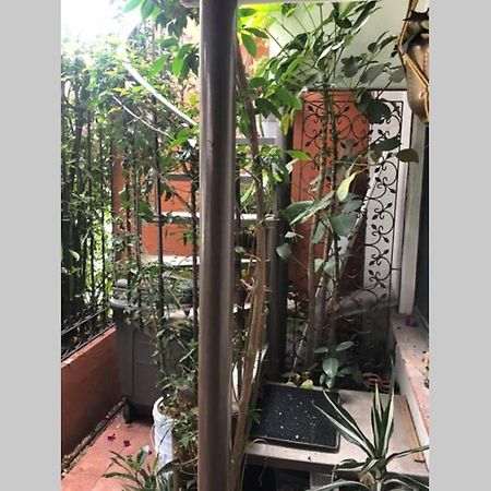 Amplia Habitacion Tipo Ejecutiva Con Bano Y Acceso Privados Toluca Exterior foto