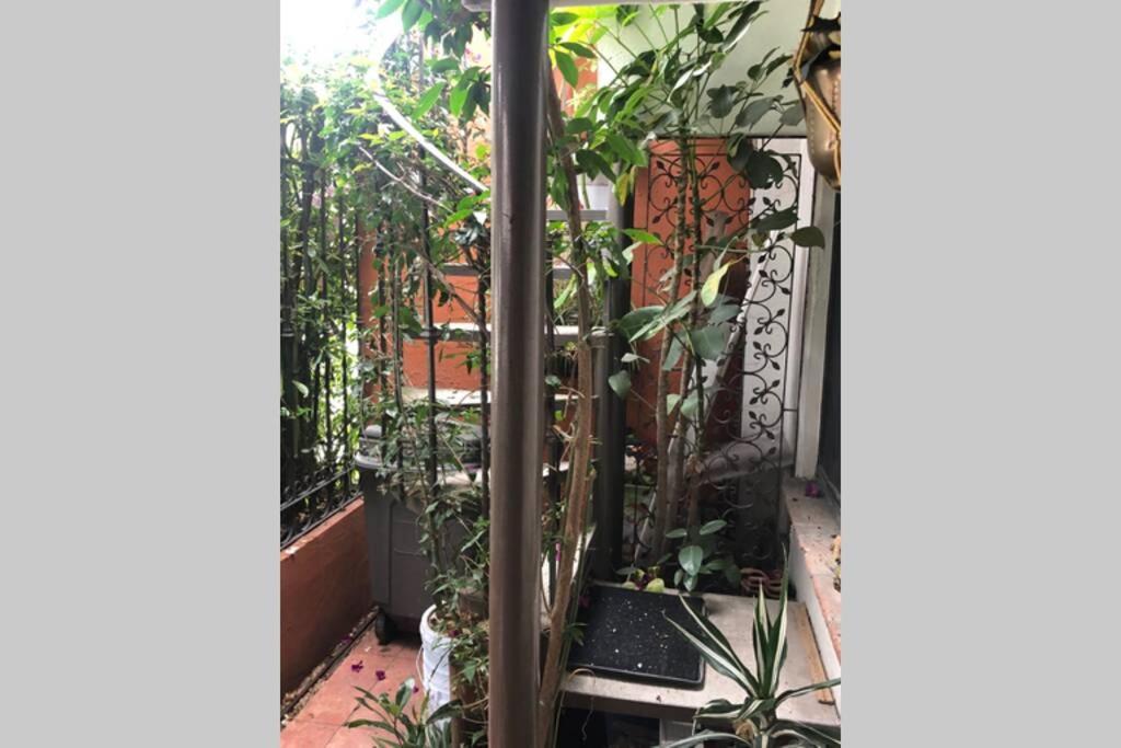 Amplia Habitacion Tipo Ejecutiva Con Bano Y Acceso Privados Toluca Exterior foto