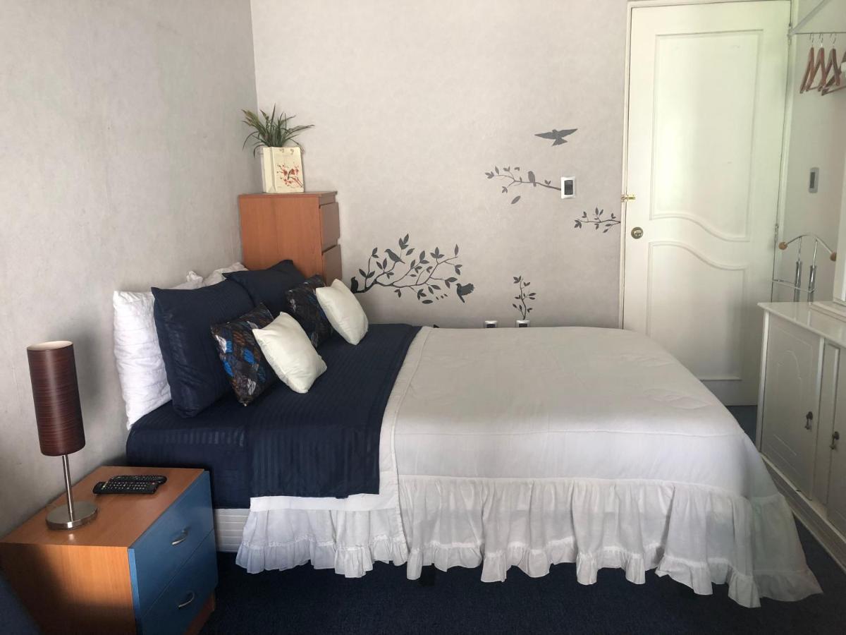 Amplia Habitacion Tipo Ejecutiva Con Bano Y Acceso Privados Toluca Exterior foto